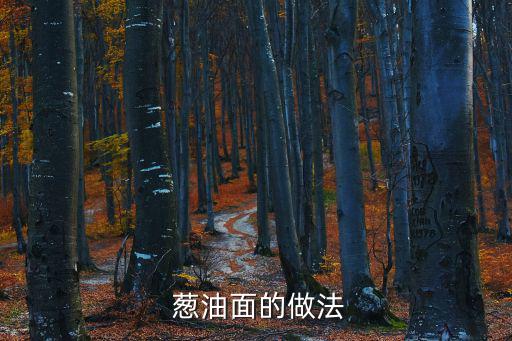 蔥油掛面,精掛面，蔥油醬拌面好吃不貴!