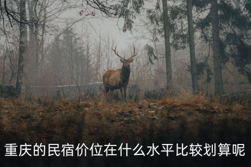 重慶的民宿價位在什么水平比較劃算呢