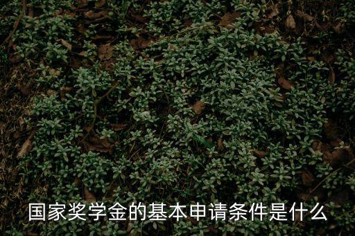 國家獎學金申請條件，國家獎學金的基本申請條件是什么