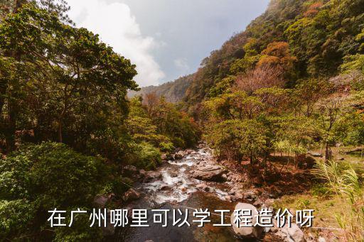 在廣州哪里可以學工程造價呀