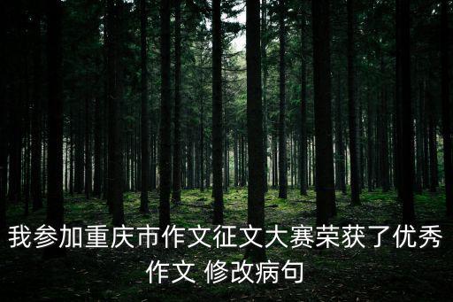 重慶市委研究室賴朝梅，重慶市市政法委研究室主任是什么級別