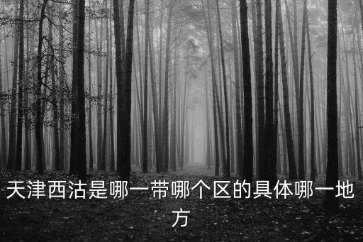 天津西沽是哪一帶哪個(gè)區(qū)的具體哪一地方