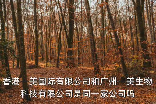 香港一美國際有限公司和廣州一美生物科技有限公司是同一家公司嗎