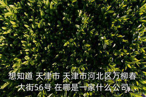 想知道 天津市 天津市河北區萬柳春大街56號 在哪是一家什么公司