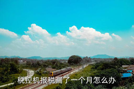稅控機報稅漏了一個月怎么辦