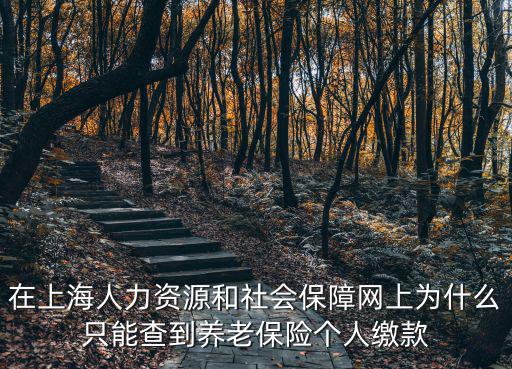 上海市社保明細(xì)單照片，上海社保中心可以幫人拉社保清單嗎