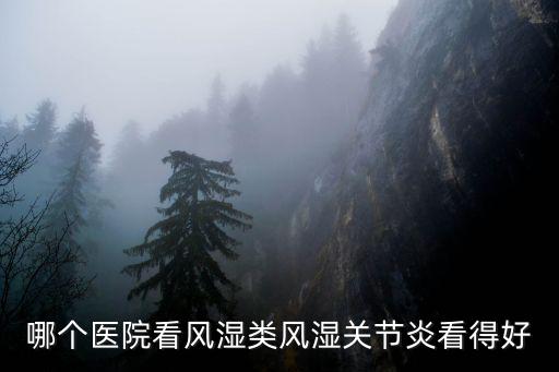 哪個醫院看風濕類風濕關節炎看得好
