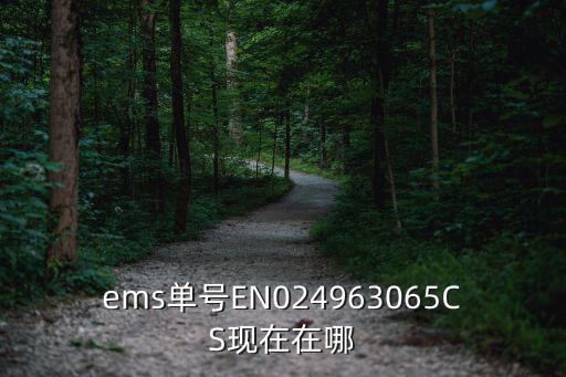 ems單號EN024963065CS現(xiàn)在在哪