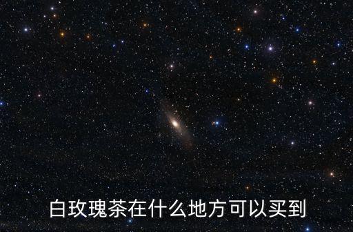 白玫瑰茶在什么地方可以買到