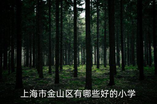 上海市金山區有哪些好的小學