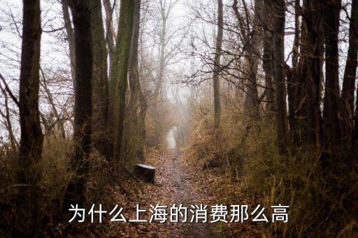 為什么上海的消費(fèi)那么高