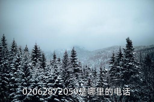 廣州市新民印刷有限公司，02062872059是哪里的電話