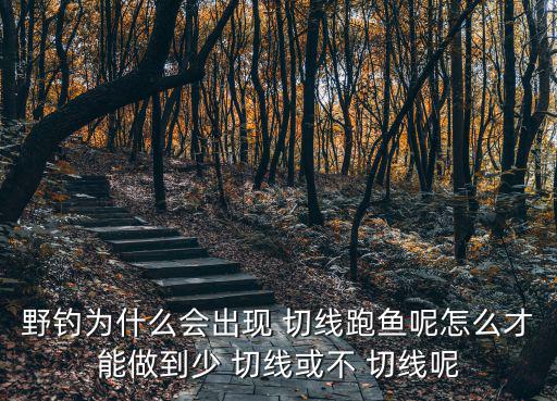 釣魚切線,魚可能會掉線?一般是因為魚線太差或太大；