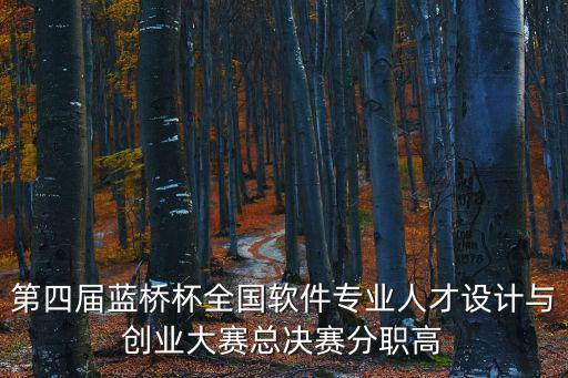 第四屆藍橋杯全國軟件專業人才設計與創業大賽總決賽分職高