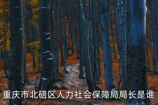 重慶市北碚區人力社會保障局局長是誰