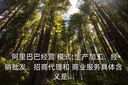  阿里巴巴經(jīng)營(yíng) 模式:生產(chǎn)加工、經(jīng)銷(xiāo)批發(fā)、招商代理和 商業(yè)服務(wù)具體含義是...