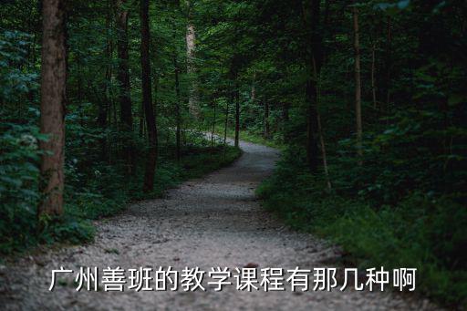 廣州善班的教學課程有那幾種啊