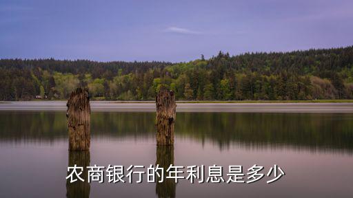 農商銀行的年利息是多少