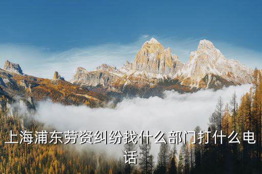 上海浦東勞資糾紛找什么部門打什么電話