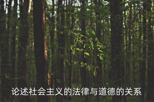 論述社會(huì)主義的法律與道德的關(guān)系