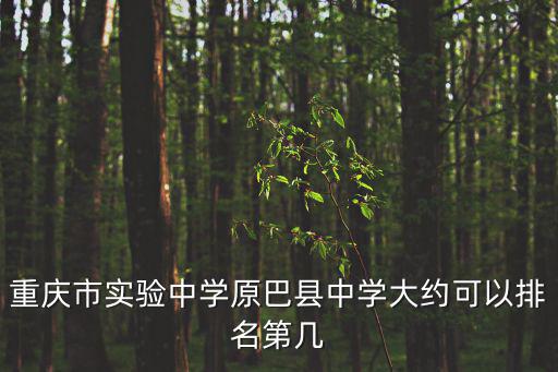 重慶市實(shí)驗(yàn)中學(xué)原巴縣中學(xué)大約可以排名第幾