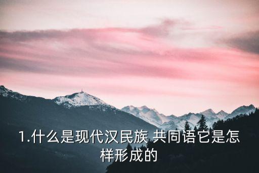 1.什么是現(xiàn)代漢民族 共同語(yǔ)它是怎樣形成的
