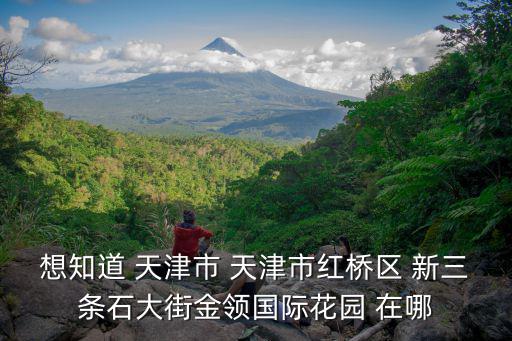 天津市紅橋區開庭視頻，天津市紅橋區丁字沽有叫史艷文的嗎