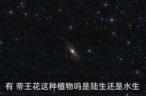 有 帝王花這種植物嗎是陸生還是水生