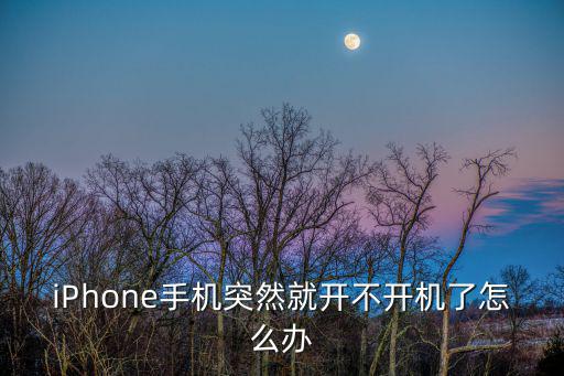 iPhone手機突然就開不開機了怎么辦