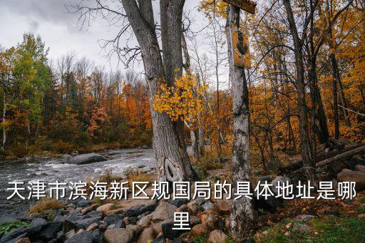 天津市濱海新區規國局的具體地址是哪里