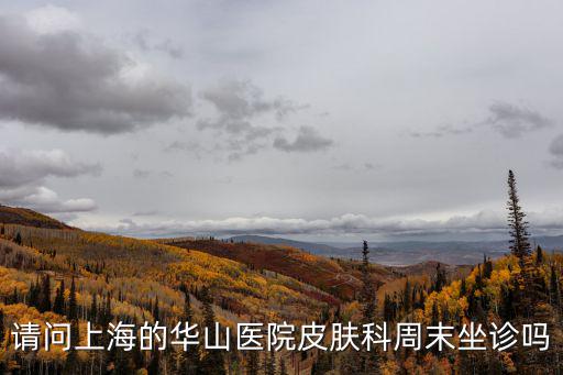 請問上海的華山醫院皮膚科周末坐診嗎