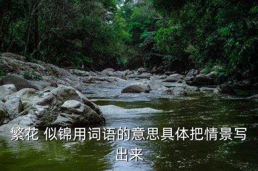 繁花 似錦用詞語的意思具體把情景寫出來