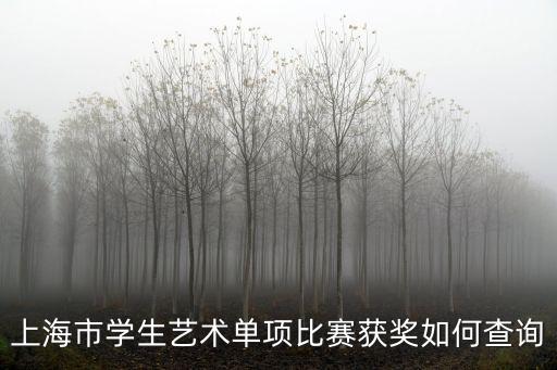 上海市學生藝術單項比賽獲獎如何查詢