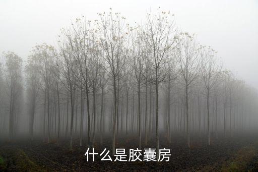 什么是膠囊房