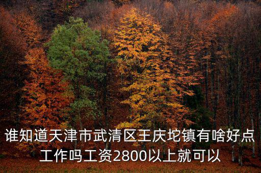 誰知道天津市武清區王慶坨鎮有啥好點工作嗎工資2800以上就可以