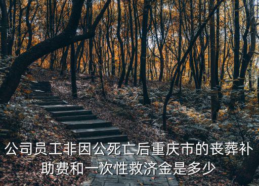 公司員工非因公死亡后重慶市的喪葬補助費和一次性救濟金是多少