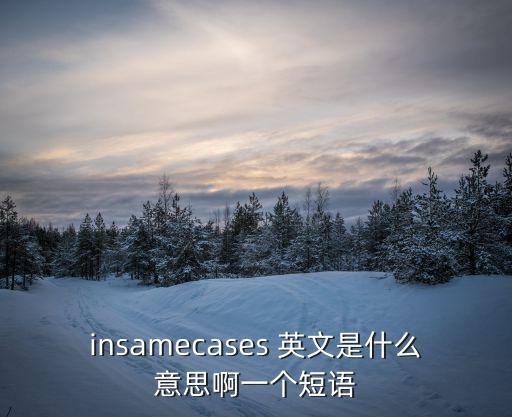 insamecases 英文是什么意思啊一個(gè)短語