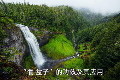 覆盆子功效,盆子泡白酒7天焙成粉末保健益智美容防癌