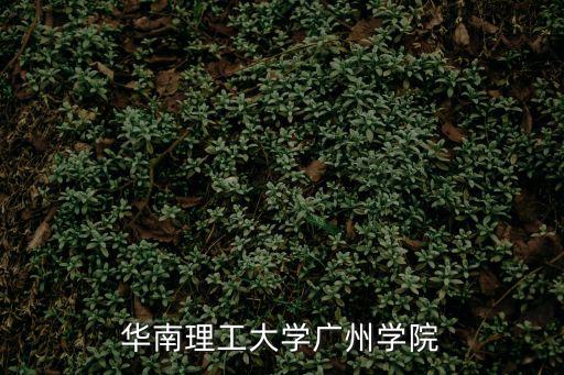華南理工大學(xué)廣州學(xué)院