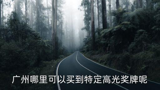 廣州哪里可以買到特定高光獎牌呢