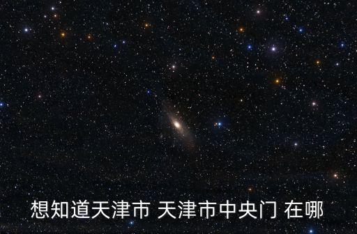 想知道天津市 天津市中央門 在哪
