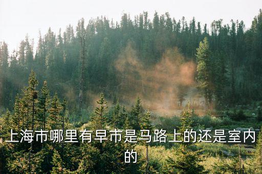 上海市哪里有早市是馬路上的還是室內(nèi)的