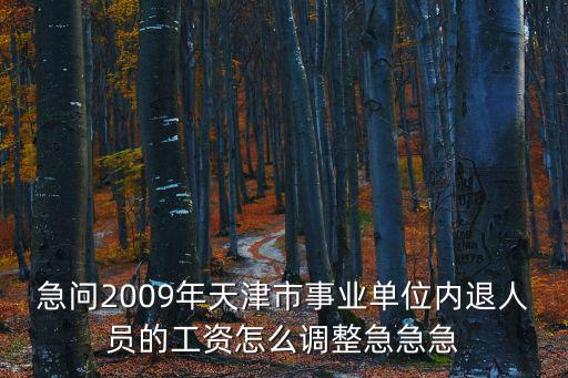 急問2009年天津市事業(yè)單位內退人員的工資怎么調整急急急