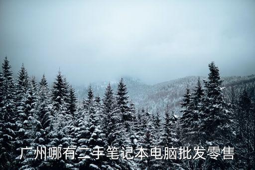 廣州哪有二手筆記本電腦批發(fā)零售
