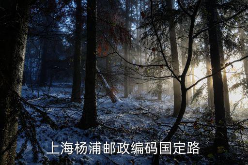 上海市楊浦區國定路郵編查詢，上海市楊浦區政立路國定路上和園郵編