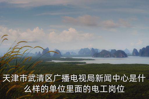 天津市武清區廣播電視局新聞中心是什么樣的單位里面的電工崗位