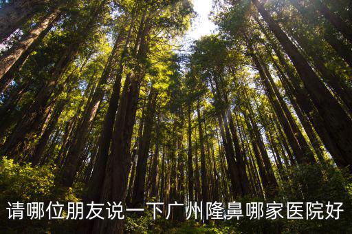 廣州隆鼻哪家好柒宙斯82z，廣州哪家隆鼻醫院好
