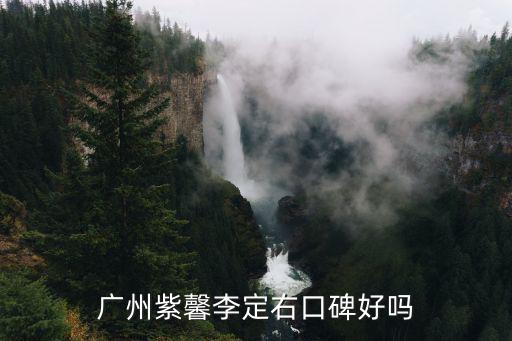 廣州紫馨李定右口碑好嗎