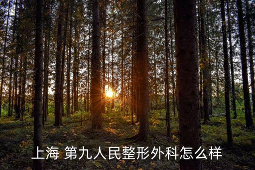 上海 第九人民整形外科怎么樣