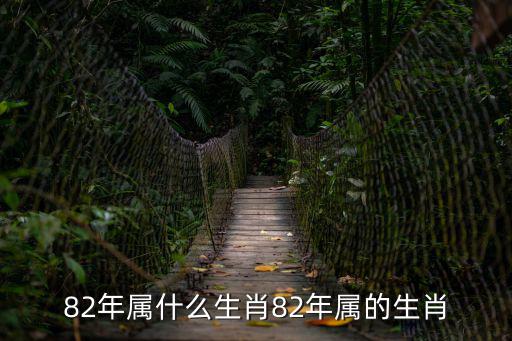 82年屬啥,82年是什么生肖年?答案揭曉
